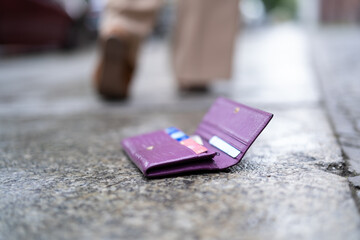 Woman Lost Personal Wallet With Money