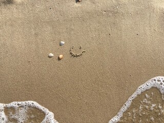 A smiling face carved in the sand with seashells