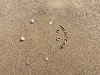 A smiling face carved in the sand with seashells