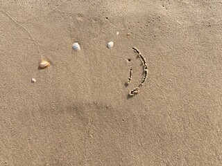 A smiling face carved in the sand with seashells