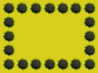 Fototapeta premium colorful frame made of sunflowers in flat design .