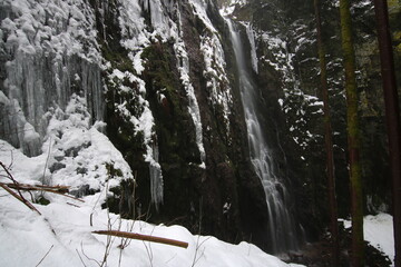burgbach waterfall idyllically located in the forest between trees. Snowy landscape in winter from...