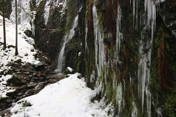 burgbach waterfall idyllically located in the forest between trees. Snowy landscape in winter from the German Black Forest