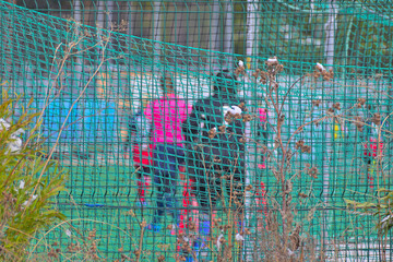 Fencing of a football stadium on a cold autumn day