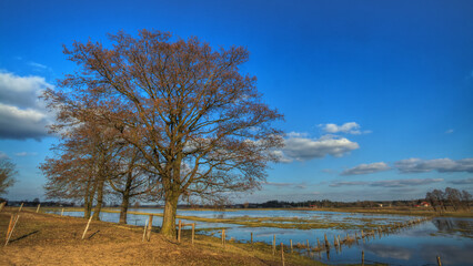 Landscape samazing blue sky with clouds valley river Narew Poland Europe spring time meadows under water backwards	