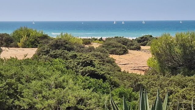 movement of the waves on the beach of La Barrosa in Sancti Petri, Cadiz