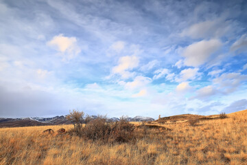 landscape mountain altai, panorama scenery freedom, autumn nature of siberia
