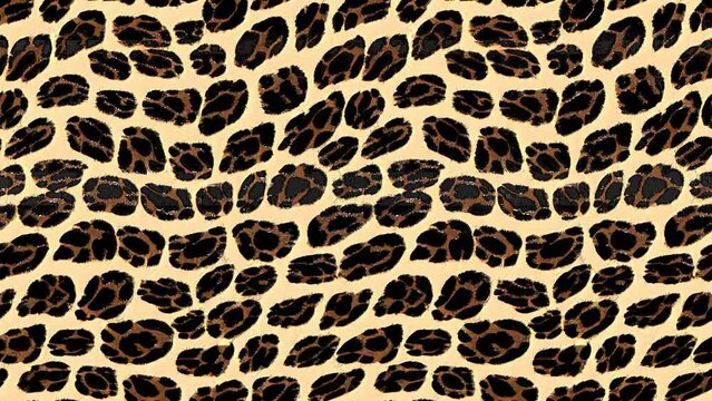 animal skin leopard seamless looping animation design. Jaguar, leopard, cheetah, panther fur