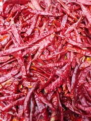 Fototapeta premium red chili peppers