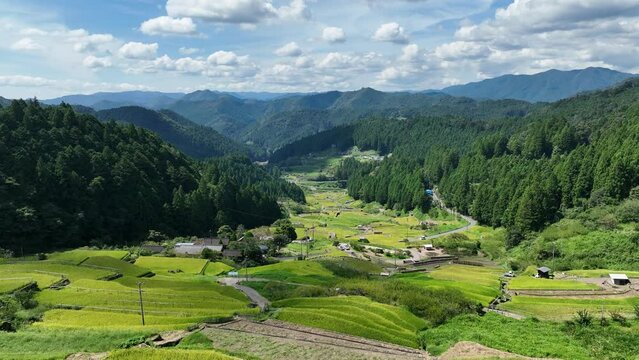 愛知県新城市の四谷千枚田、稲刈り時期の風景
