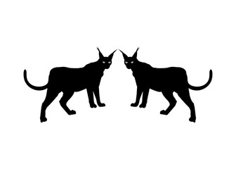 Pair of the Caracal Cat Silhouette for Logo, Pictogram, Website or Graphic Design Element. Vector Illustration