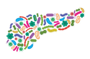 Pancreas made of Bacteria isolated on white background. Vector illustration.