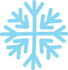 Fototapeta premium Snowflake Isolate Winter Snow Freeze