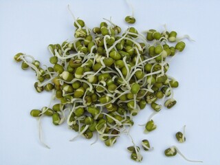 Sprouted mung beans 