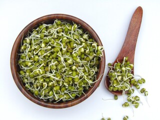 sprouted mung beans in a bowl on white background 