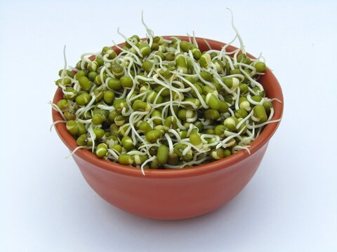 Sprouted mung beans in a bowl on white background 