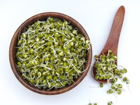 sprouted mung beans in a bowl on white background 