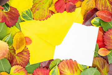 Creative layout made of dried leaves in autumn and paper card sticking out of the envelope. Flat lay. Autumn nature leaves concept.