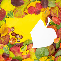 Creative layout made of dried leaves in autumn and paper card sticking out of the envelope with several chestnuts on the envelope. Flat lay. Autumn nature leaves concept.