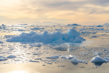 antarktische Eisberg Landschaft in der Cierva Cove - ein tiefer Meeresarm an der Westseite der...