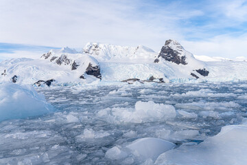 Fototapeta na wymiar antarktische Eisberg Landschaft in der Cierva Cove - ein tiefer Meeresarm an der Westseite der Antarktischen Halbinsel, umringt von rauen Bergen und dramatischen Gletscherfronten