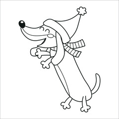 Funny dachshund dressed with a Santa's hat and a scarf, clipart