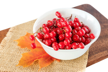 Ripe juicy red viburnum in a white bowl, used in medicine for medicinal purposes.