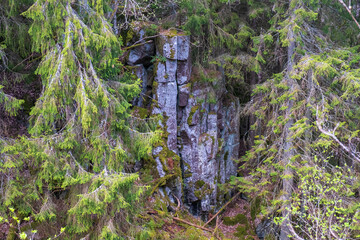 Rock face in a boreal forest ravine