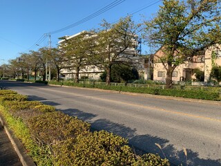 春日部の住宅街
