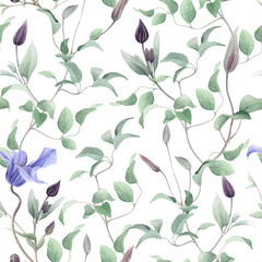 Seamless floral pattern with curly clematis branches with lilac and purple clematis buds and green leaves hand drawn in watercolor isolated on a white background. Watercolor floral pattern.	