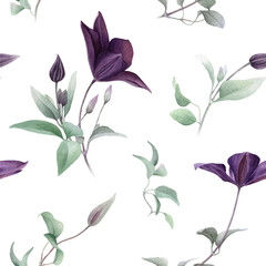 Seamless floral pattern with purple clematis flowers, buds and green leaves hand drawn in watercolor isolated on a white background. Watercolor floral pattern.	