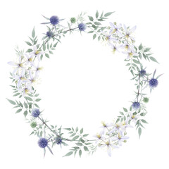 A floral wreath with sea holly flowers, small white clematis flowers and green leaves hand drawn in watercolor isolated on a white background. Watercolor illustration. Watercolor floral wreath.
