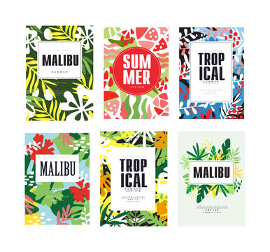 Malibu summer tropical card templates set. Banner, poster, background with exotic plants cartoon vector illustration