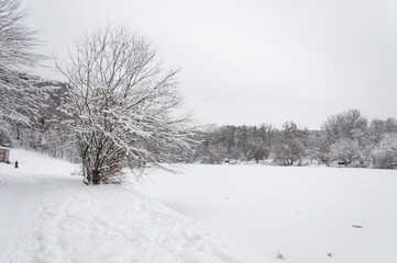 Fototapeta na wymiar Winter landscape at Holosiivskyi National Nature Park, Kyiv, Ukraine
