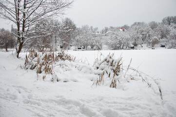 Winter landscape of Didorivka pond area at Holosiivskyi National Nature Park, Kyiv, Ukraine