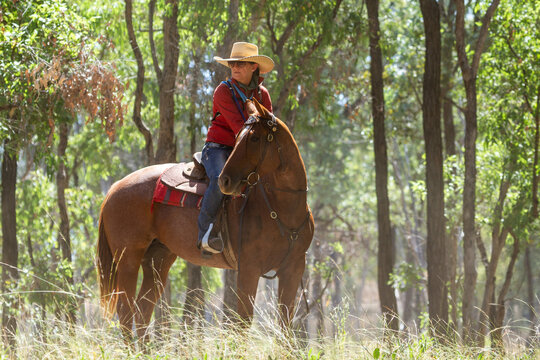 A lone cowgirl on horse turning and looking back.