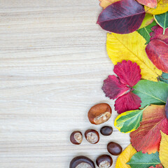 Fototapeta na wymiar Creative layout made of dried leaves in autumn and few chestnuts on a wooden table with neutral space. Flat lay. Autumn nature leaves concept.