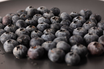 Blueberries in water droplets, blueberries close-up macro