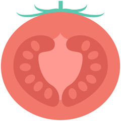 Tomato Colored Vector Icon
