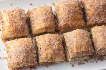 Traditional turkish new dessert cold milky baklava with pistachio (Turkish name; soguk baklava)