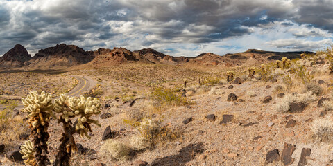 Joshua Tree im Sommer vor dem Panorama der Berge und Hügel an der Route 66 der alten Straße in Kalifornien USA