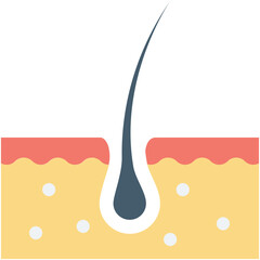 Dermatology Colored Vector Icon