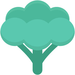 Cauliflower Colored Vector Icon