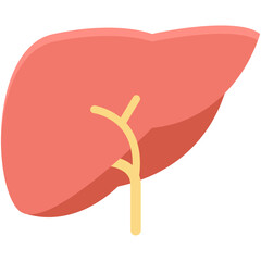 Liver Colored Vector Icon