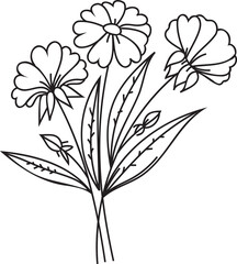 Flower line art illustration with black thin line. PNG with transparent background. 