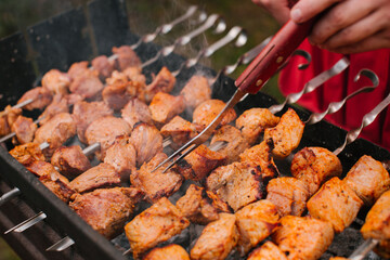 Autumn hot fire BBQ on the grill on a green meadow. Pork skewers.	
