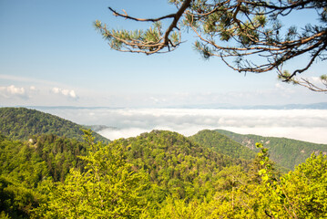 Amazing Slovakia nature, trekking in the forest. Spending time in the mountains. Healthy and active lifestyle.