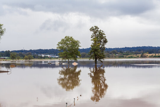 Two trees in flooded farm paddock with fence underwater