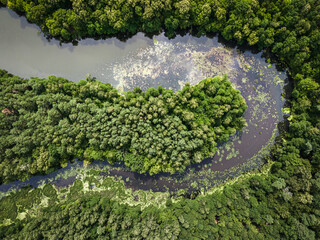 Small river and forests. Aerial view of wildlife in Poland
