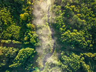 Aerial view of foggy valley in autumn at sunrise.